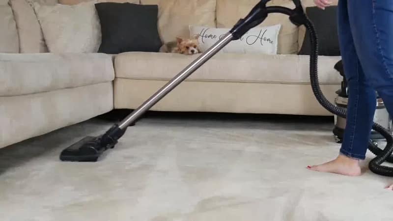 Aspirando una alfombra junto al sofá con la FilterQueen Majestic